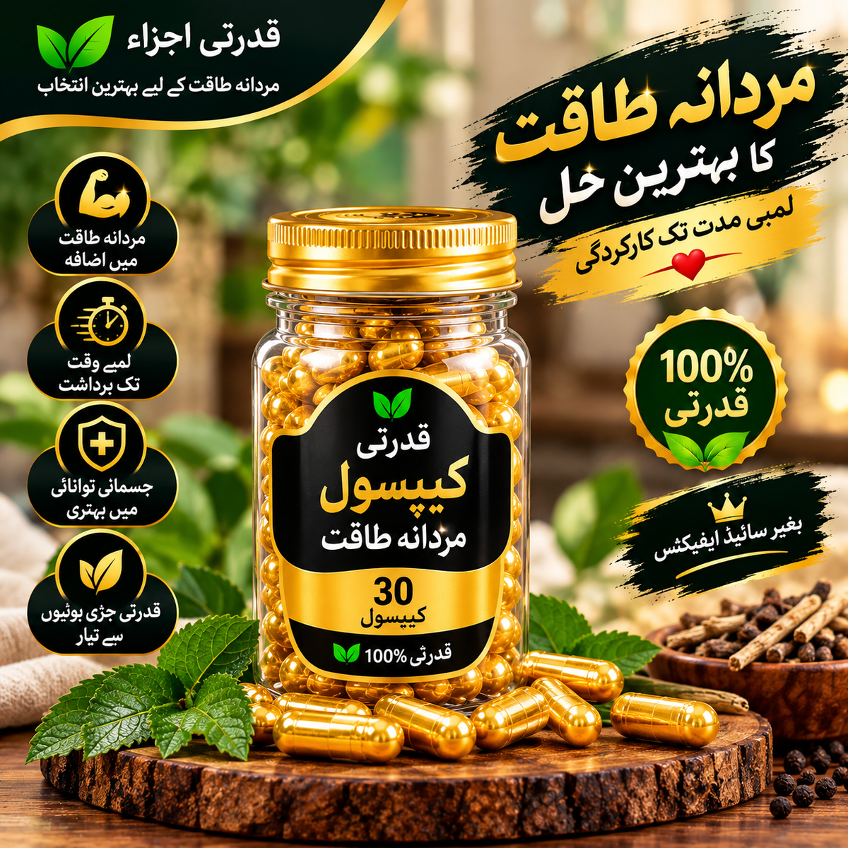 شاہی ٹائمنگ کیپسول